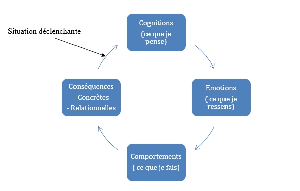 Boucle du comportement