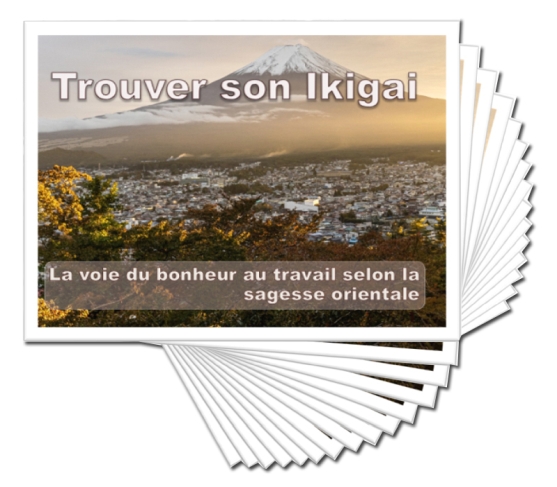 Diapositives trouver son ikigai